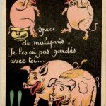 Schweine Pig