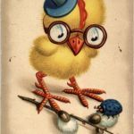 Frohe Ostern - Kücken