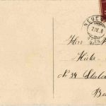 Frohe Ostern - Kücken