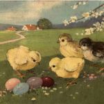 Frohe Ostern - Kücken