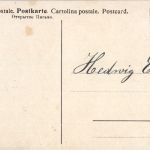 Frohe Ostern - Chicken