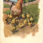 Frohe Ostern - Chicken