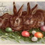 Frohe Ostern - Hase