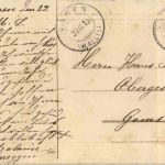 Catherina Klein - Rose