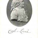 Carl v Linne