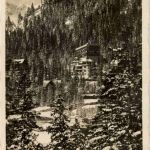 Arosa
