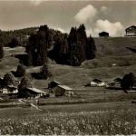 Chalets auf Saanenmöser