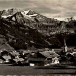 Lenk