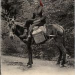 Paysanne de Champery