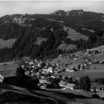 Lenk
