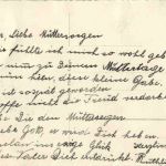 Der Aufmarsch der Fahnen