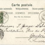 Gruss aus den Bündner Bergen - Kuh