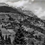 Braunwald