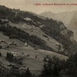 Braunwald