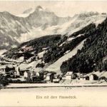 Elm