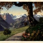 Braunwald