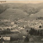 Wald - Schönengrund