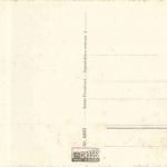 Weisstannen Ringgenberg