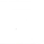 Flawil - Wiler Strasse