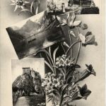 Gruss aus dem Appenzellerlande