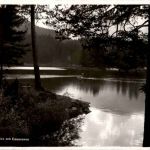 Waldhaus Flims - Motiv am Caumasee