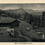 Idylle bei Waldhaus Flims