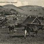 Waldstatt
