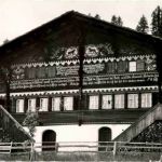 Lenk - Bowee Haus