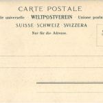 Thun - Die Aare Insel