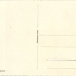 Silvaplaner und Silsersee