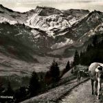Adelboden - Am Hörnliweg