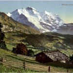 Wengernalp mit Jungfrau