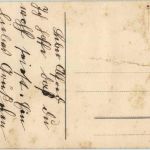 Wengernalp mit Jungfrau