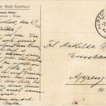 Museum Solothurn - Francois Diday