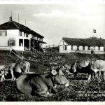 Gasthaus Hundwilerhöhe