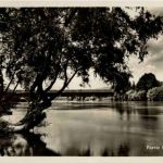 Partie bei Büren an der aare