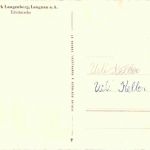 Langnau am Albis - Wildpark Langenberg - Hirsche