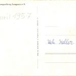 Langnau am albis - Wildpark Langenberg - Braunbären - Bear