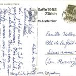 Zürich - Zoo - Schimpanse - Monkey