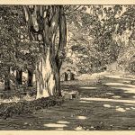 Bad Gutenburg - Künstlerkarte E. Anner