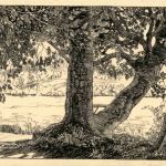 Schinznach Bad - Künstlerkarte E. Anner