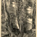 Schinznach Bad - Künstlerkarte E. Anner