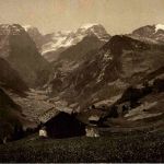 Braunwald