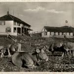 Hundwil - Gasthaus Hunwilerhöhe