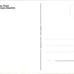 Flawil - Wiler Strasse