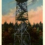 Gruss vom Maiengrün