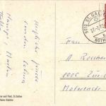 St. Gallen - Wildpark - Murmeltiere