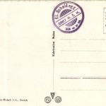 Die Jungfraugruppe mit Kühen