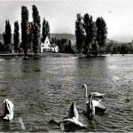 Eschenz - Cafe Insel Werd