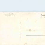 Hohegeiss - Dicke Tannen